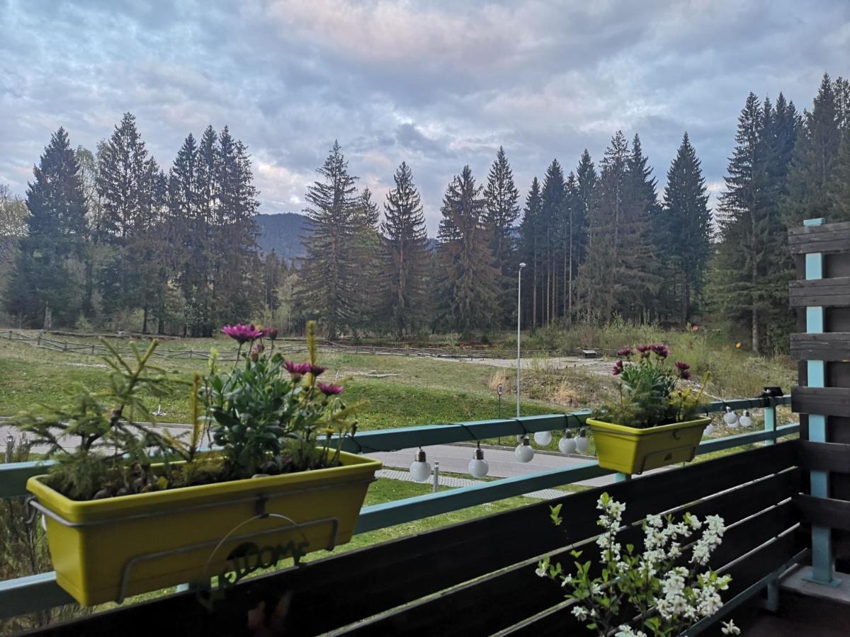 The Evergreen Nest - Silver Mountain Poiana Brasov Εξωτερικό φωτογραφία