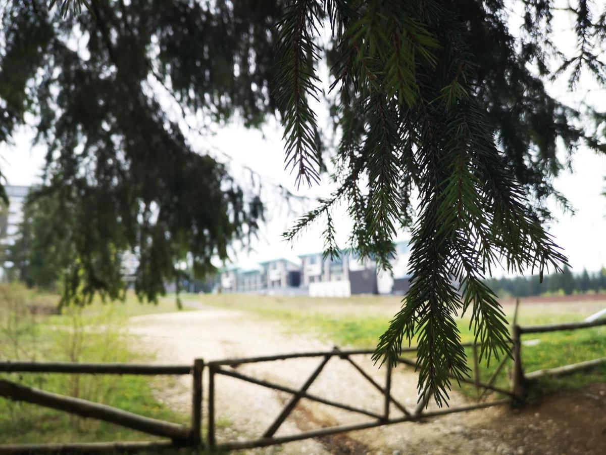 The Evergreen Nest - Silver Mountain Poiana Brasov Εξωτερικό φωτογραφία