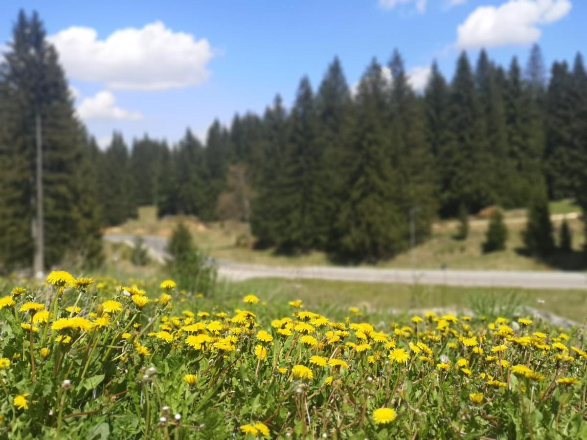 The Evergreen Nest - Silver Mountain Poiana Brasov Εξωτερικό φωτογραφία