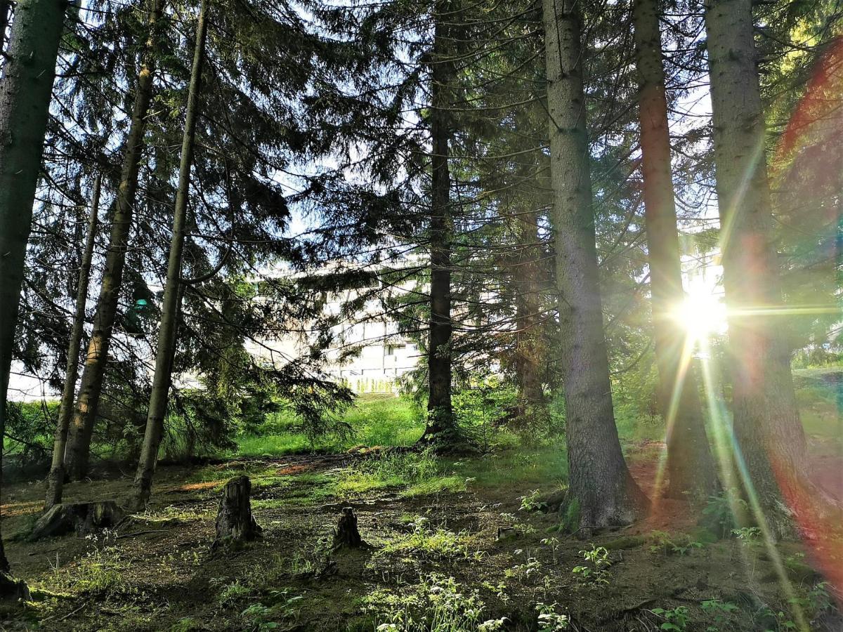 The Evergreen Nest - Silver Mountain Poiana Brasov Εξωτερικό φωτογραφία