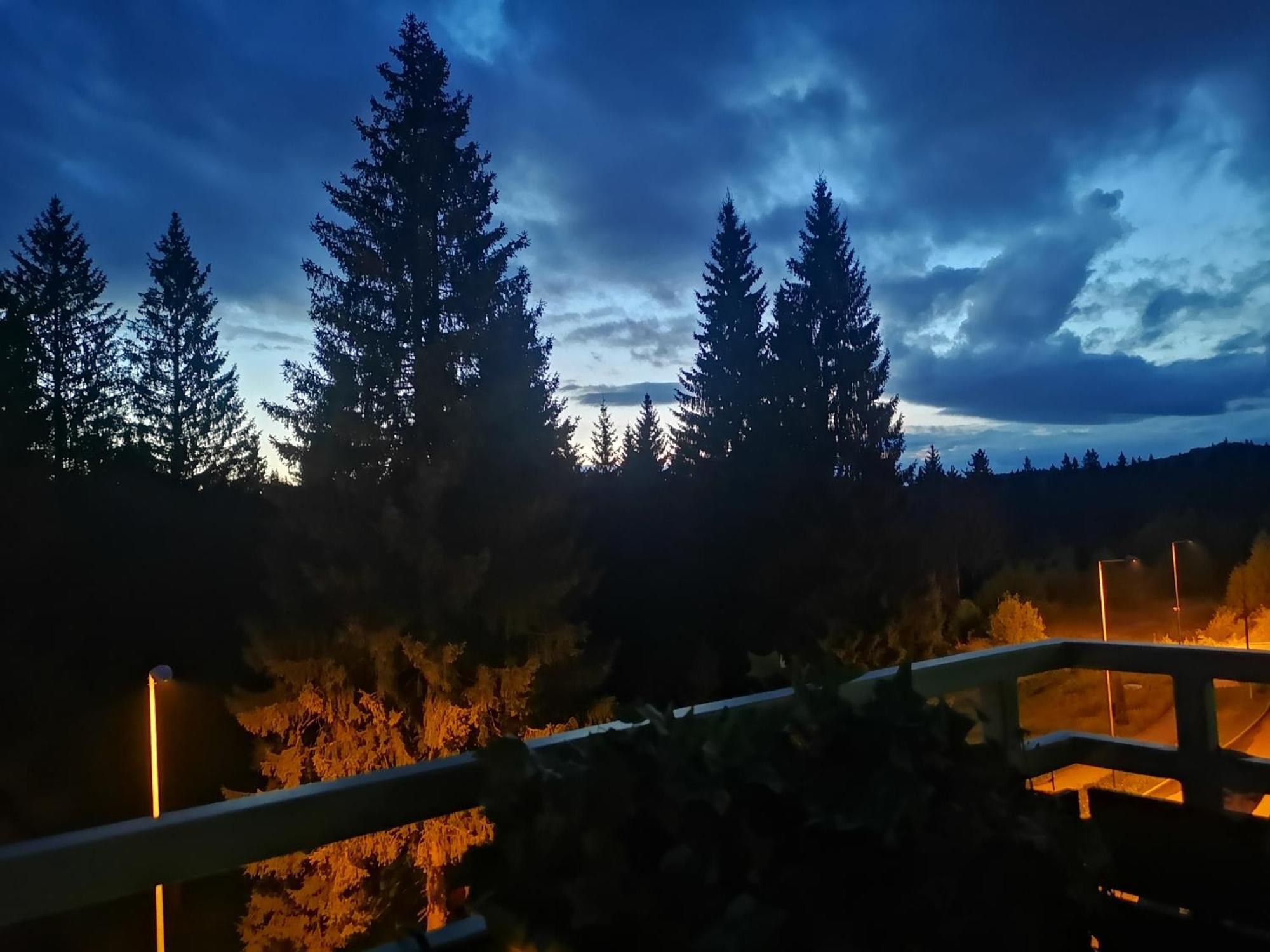 The Evergreen Nest - Silver Mountain Poiana Brasov Δωμάτιο φωτογραφία